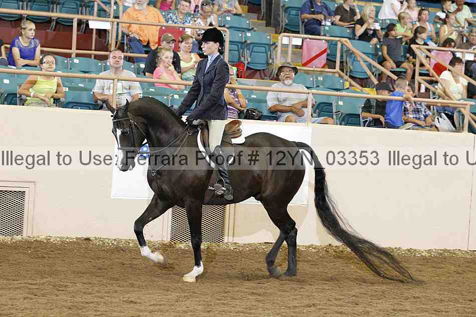 Proof 12yn_03353