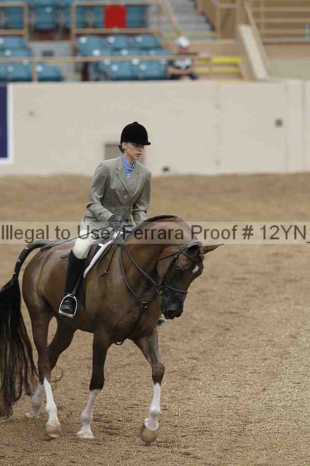 Proof 12yn_03354