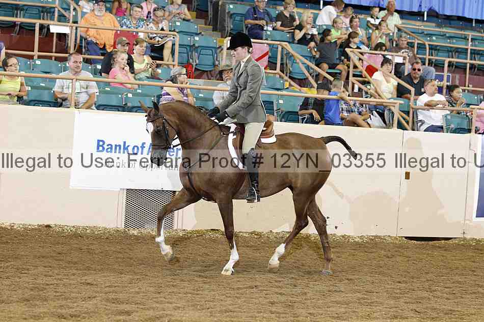 Proof 12yn_03355