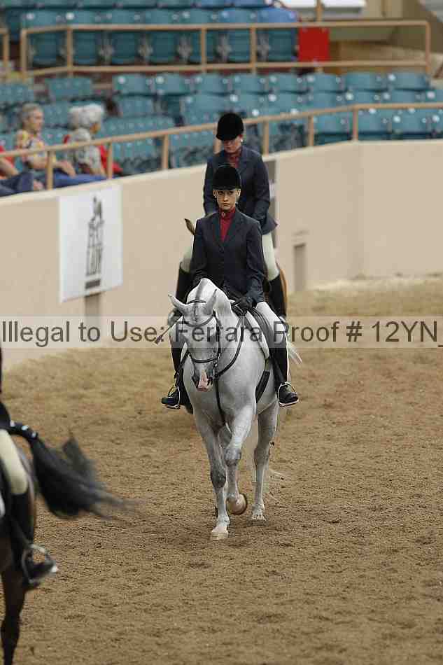 Proof 12yn_03356