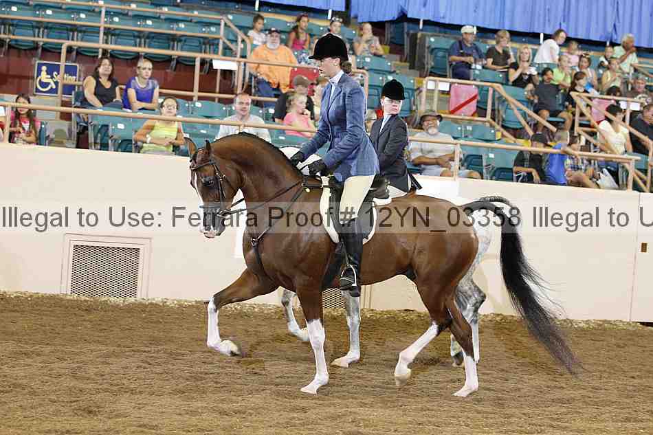 Proof 12yn_03358