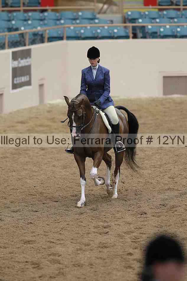 Proof 12yn_03364