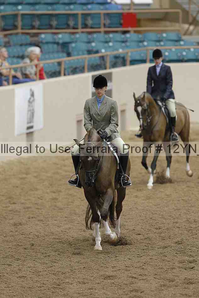 Proof 12yn_03365