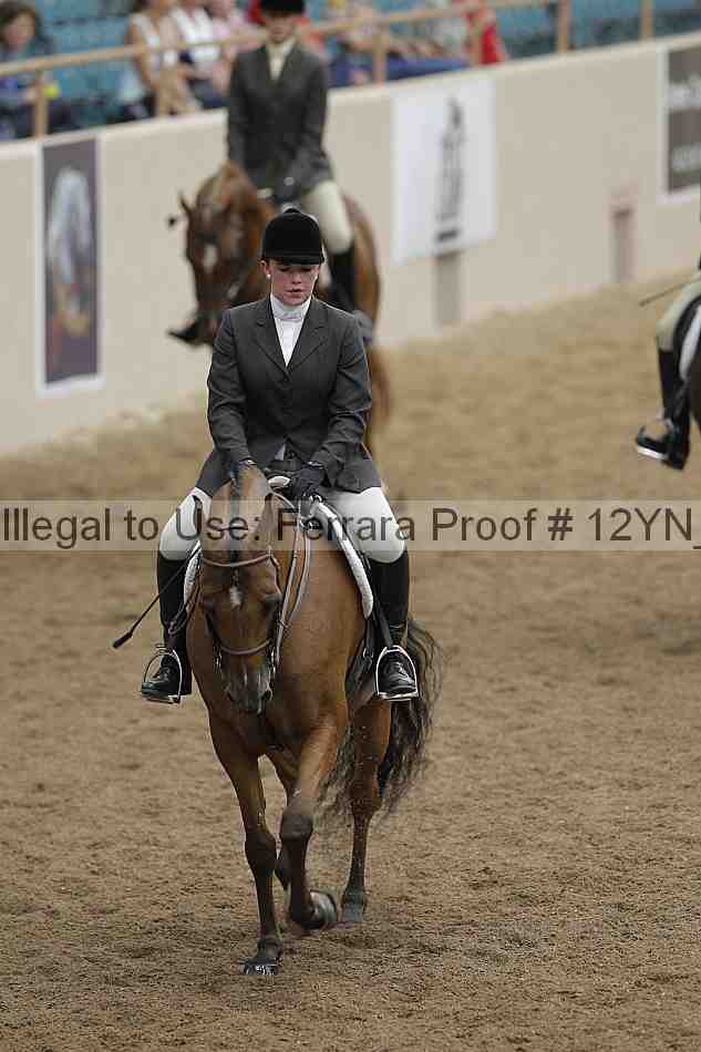 Proof 12yn_03368