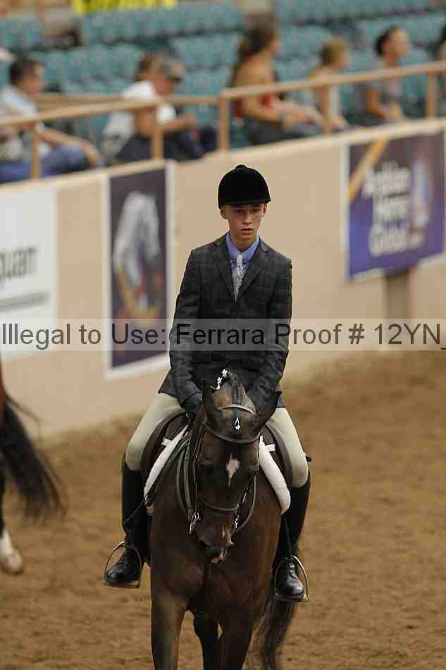 Proof 12yn_03371