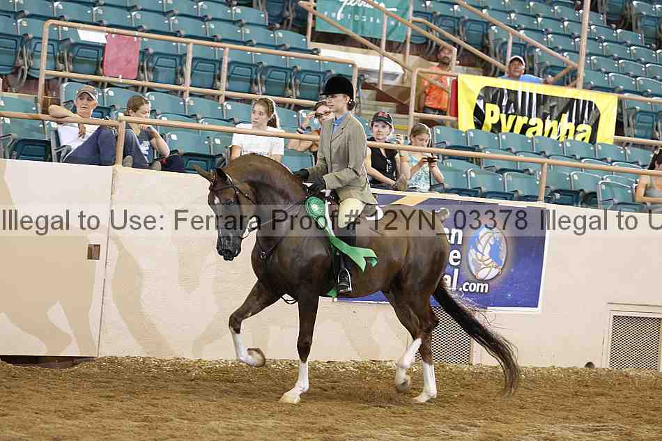 Proof 12yn_03378