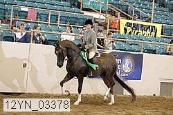 12yn_03378 proof
