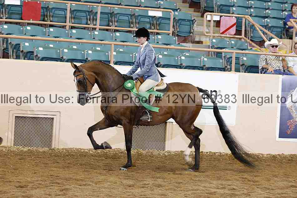 Proof 12yn_03383