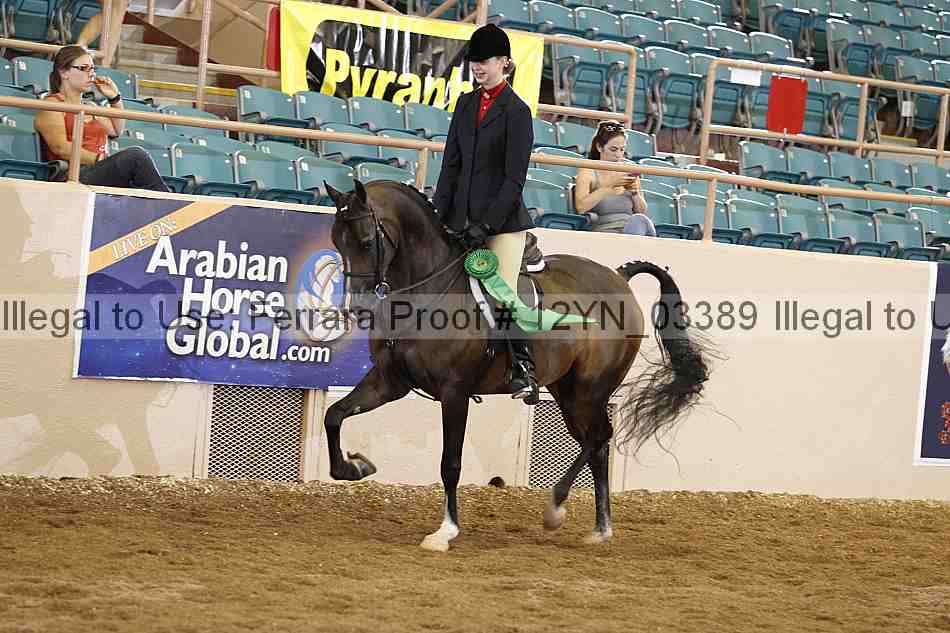 Proof 12yn_03389