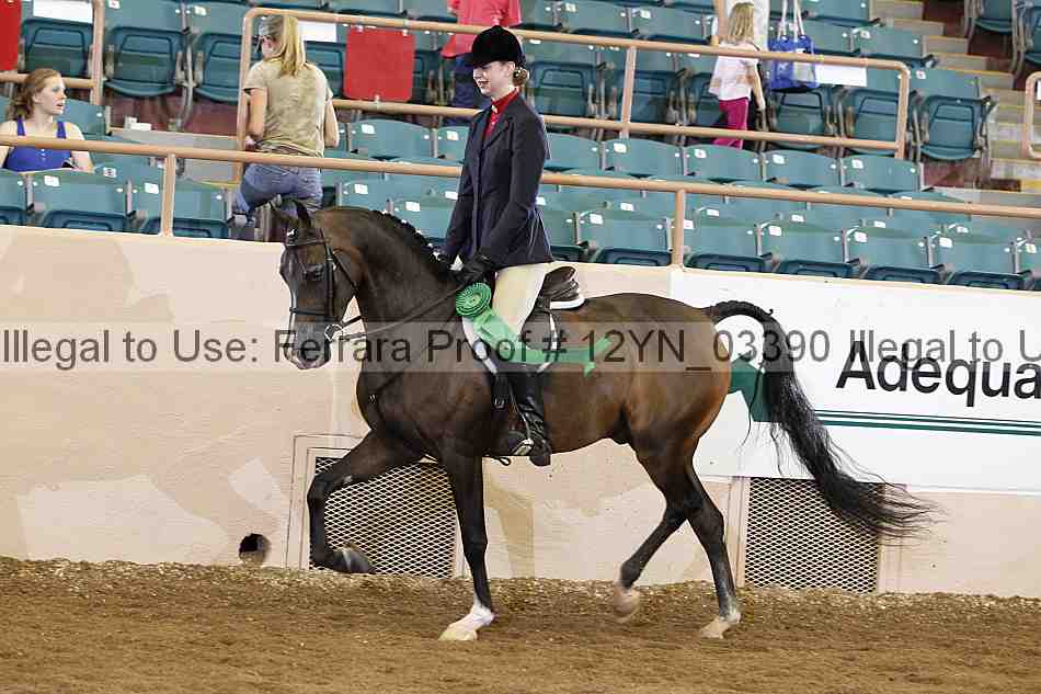 Proof 12yn_03390