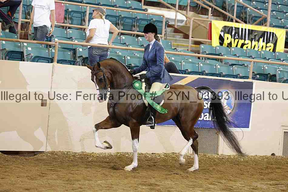 Proof 12yn_03393