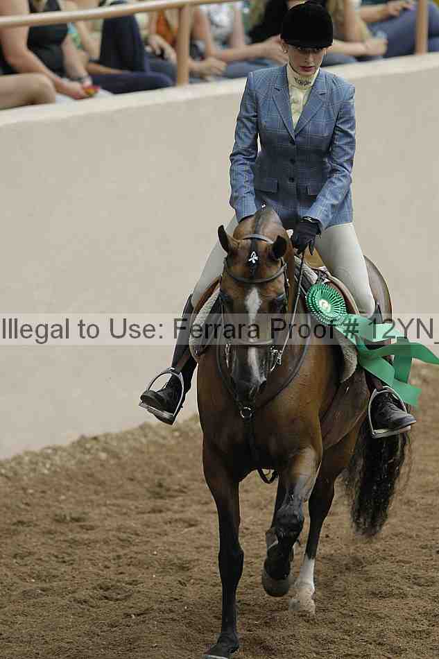 Proof 12yn_03395