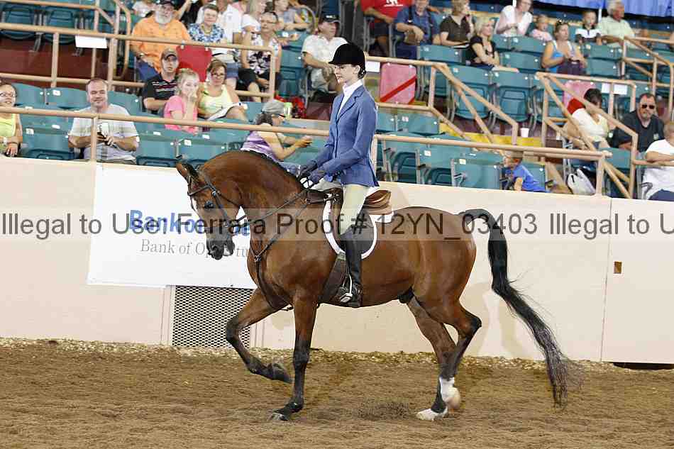 Proof 12yn_03403