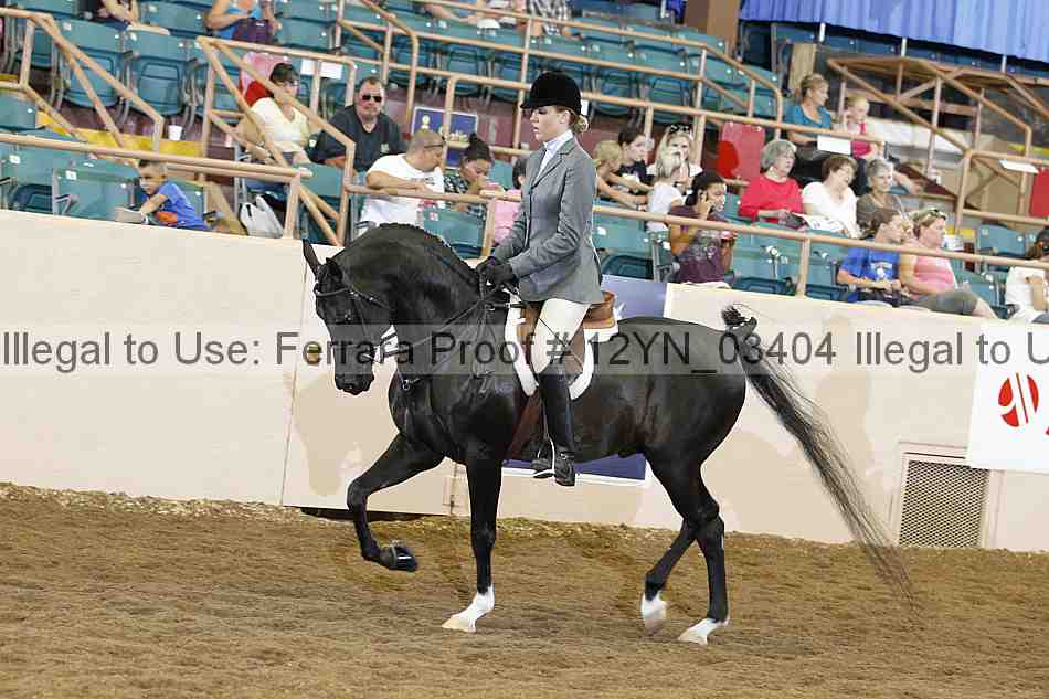 Proof 12yn_03404