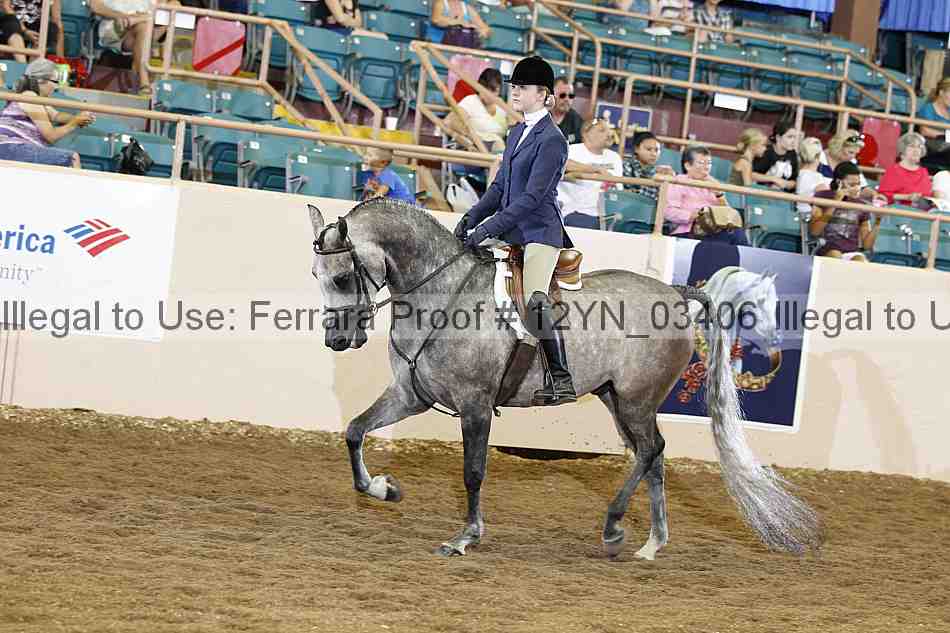 Proof 12yn_03406