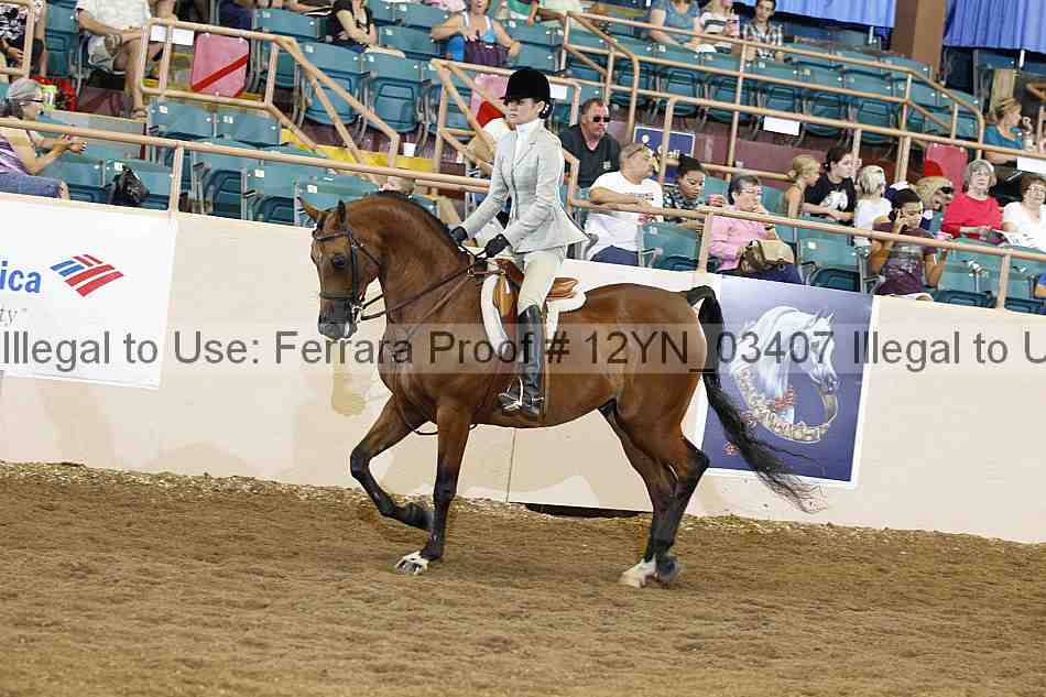 Proof 12yn_03407