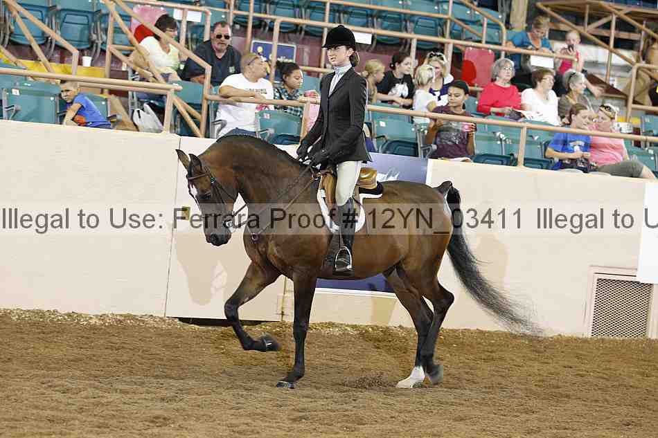 Proof 12yn_03411