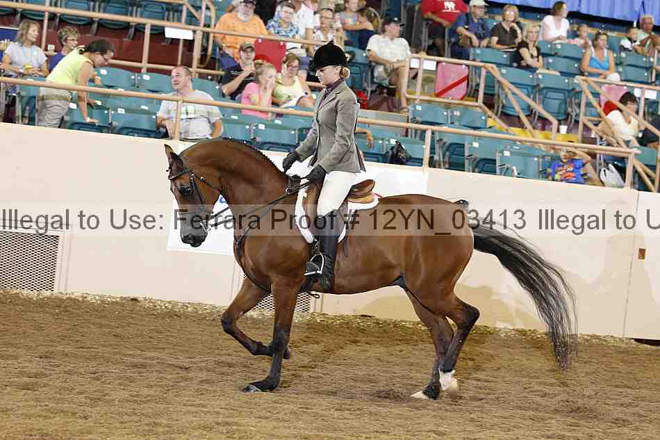 Proof 12yn_03413