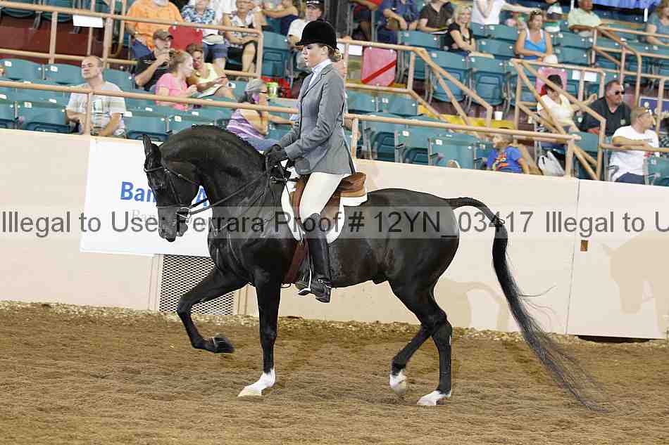 Proof 12yn_03417