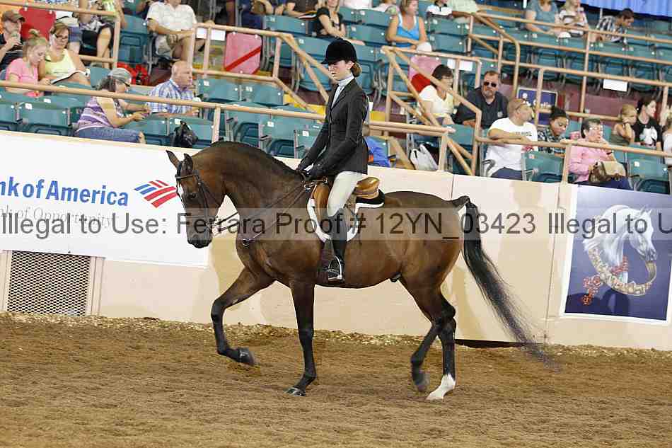 Proof 12yn_03423