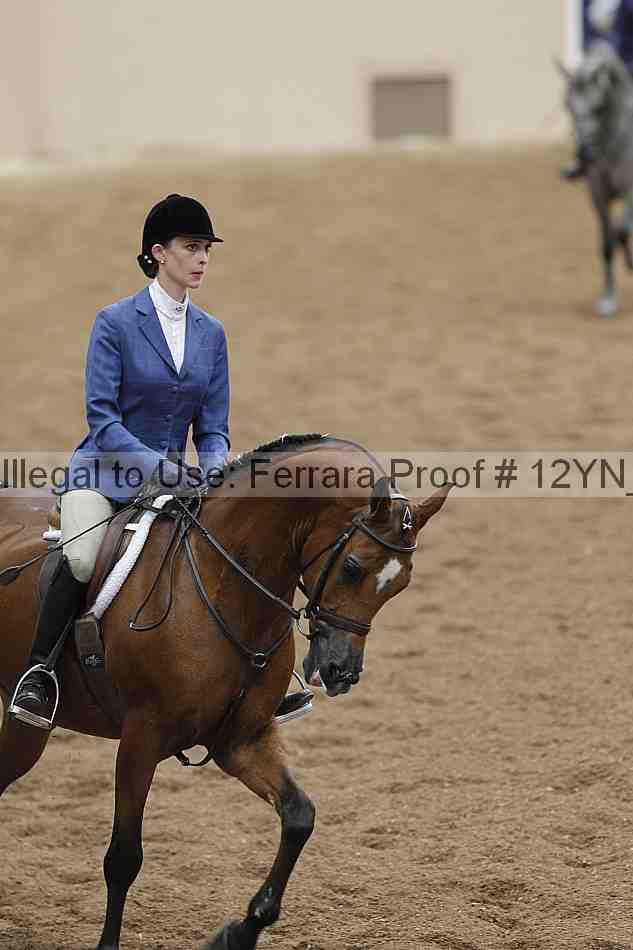 Proof 12yn_03425