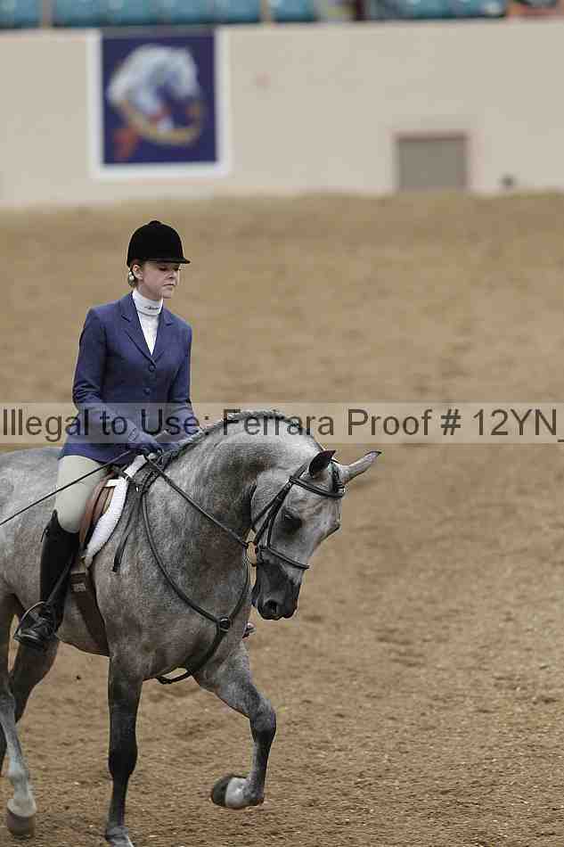 Proof 12yn_03428