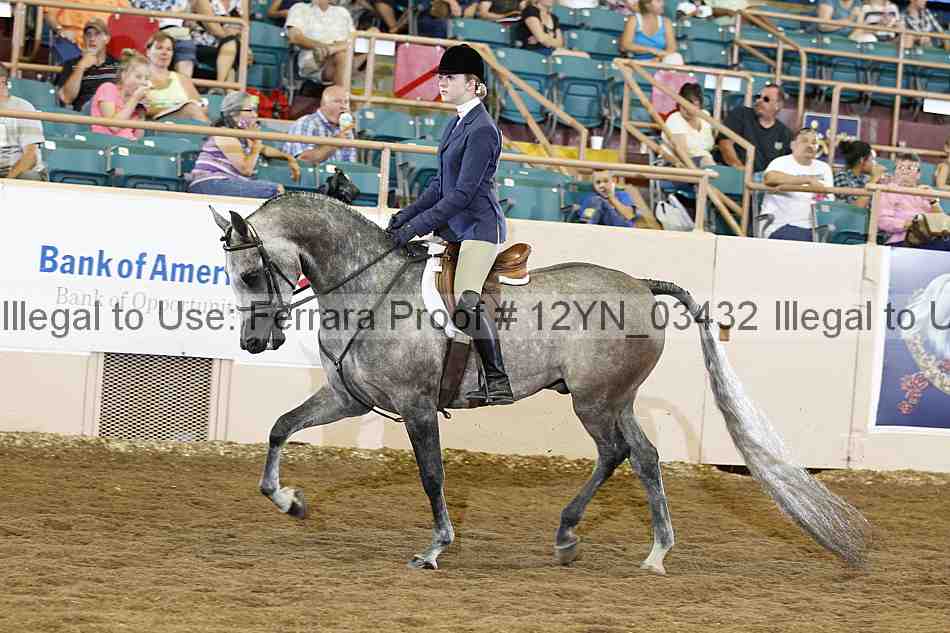 Proof 12yn_03432