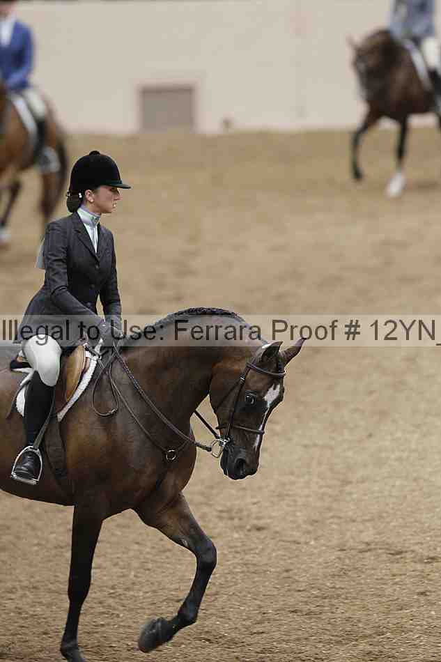 Proof 12yn_03435
