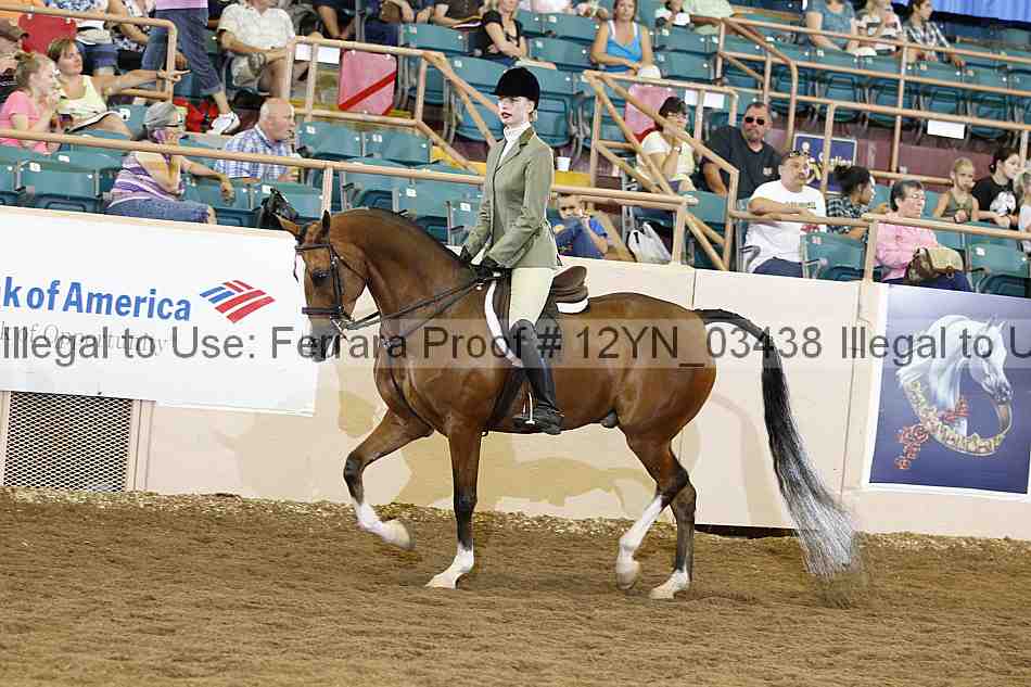 Proof 12yn_03438