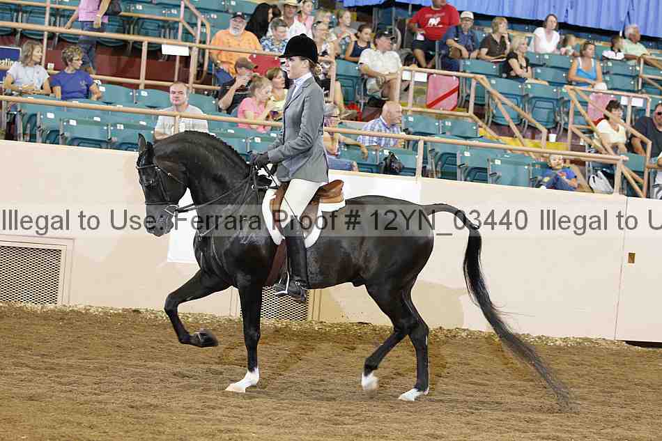 Proof 12yn_03440