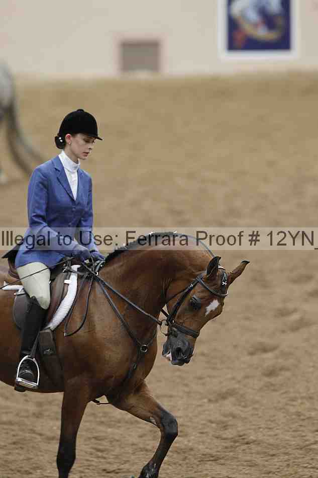 Proof 12yn_03441