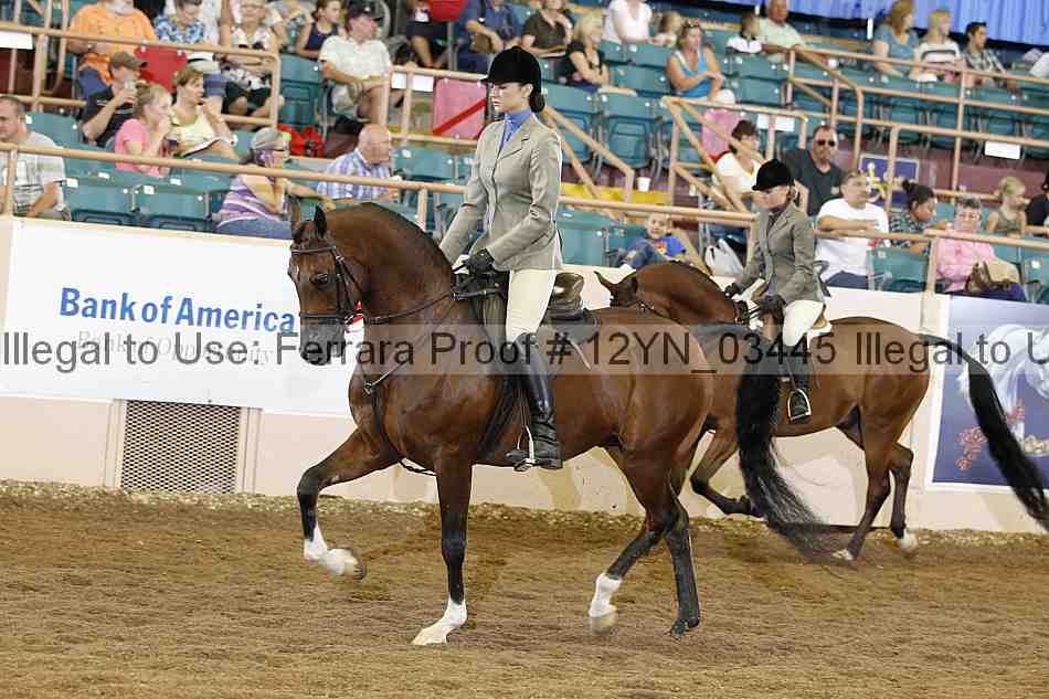 Proof 12yn_03445