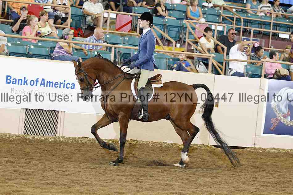 Proof 12yn_03447
