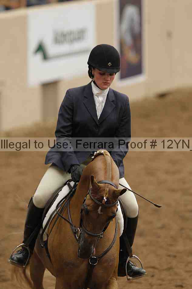 Proof 12yn_03454