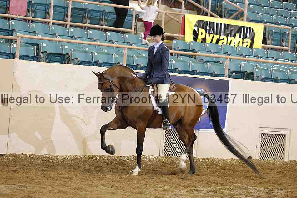 Proof 12yn_03457