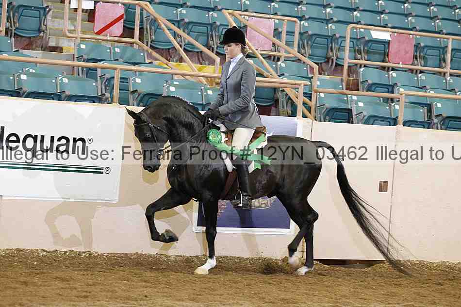 Proof 12yn_03462