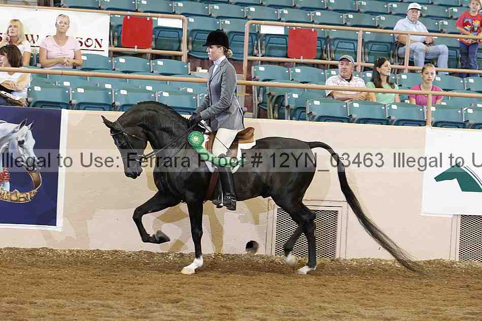 Proof 12yn_03463