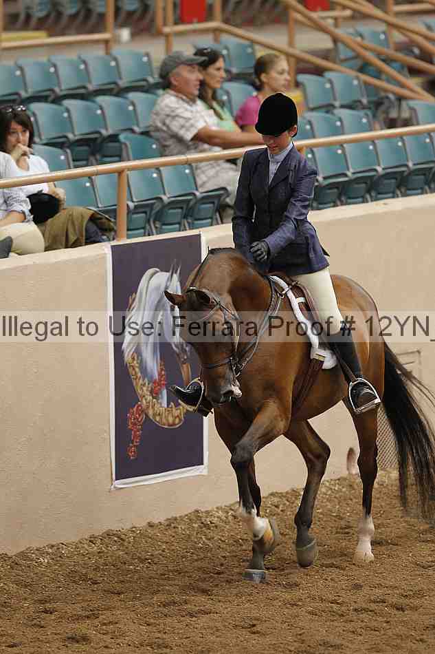 Proof 12yn_03465