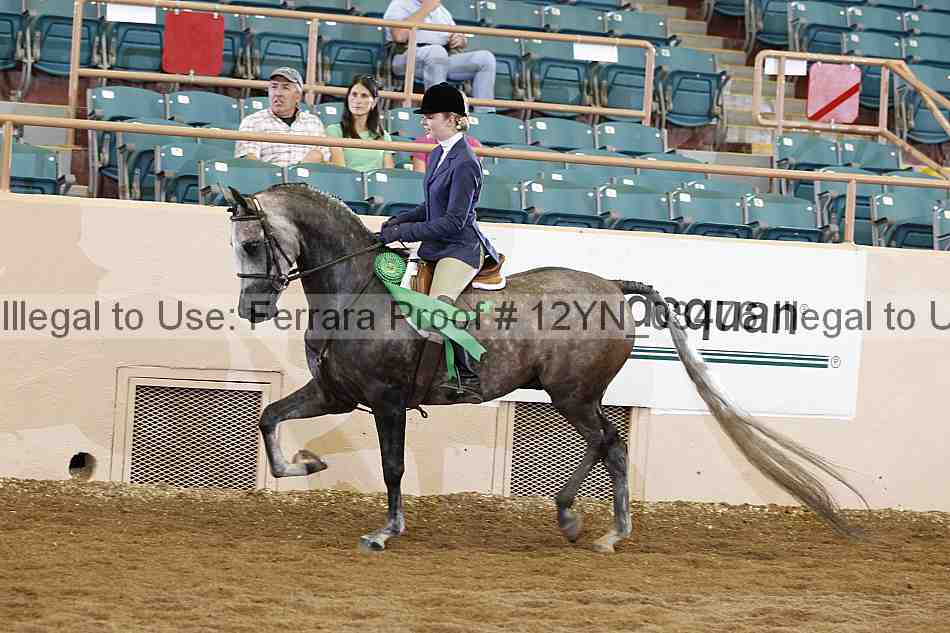 Proof 12yn_03476
