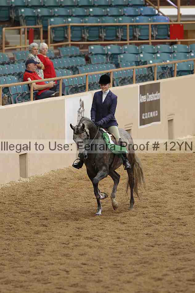 Proof 12yn_03478