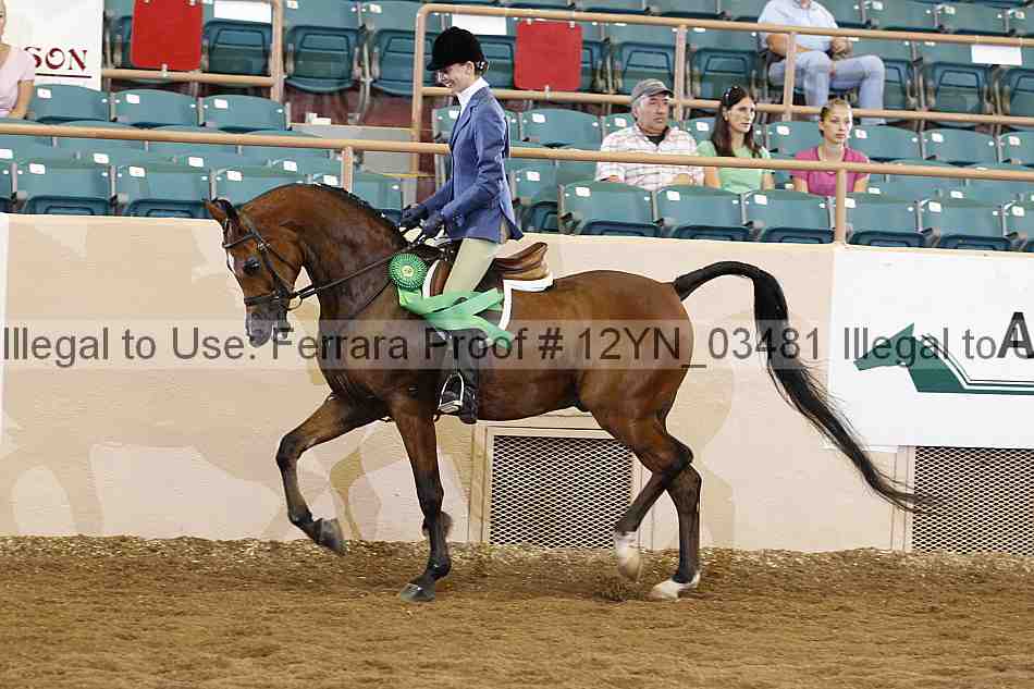 Proof 12yn_03481