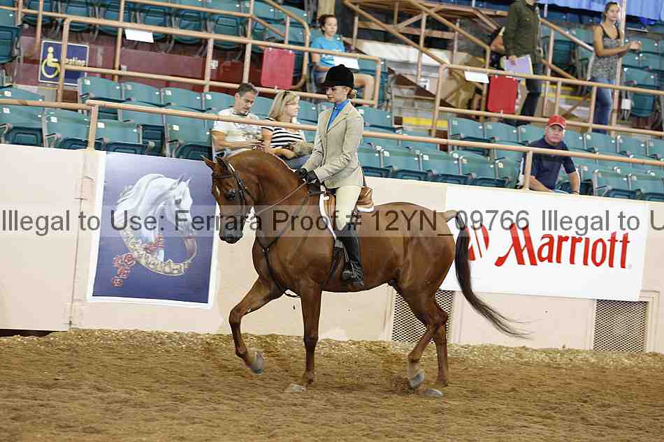 Proof 12yn_09766