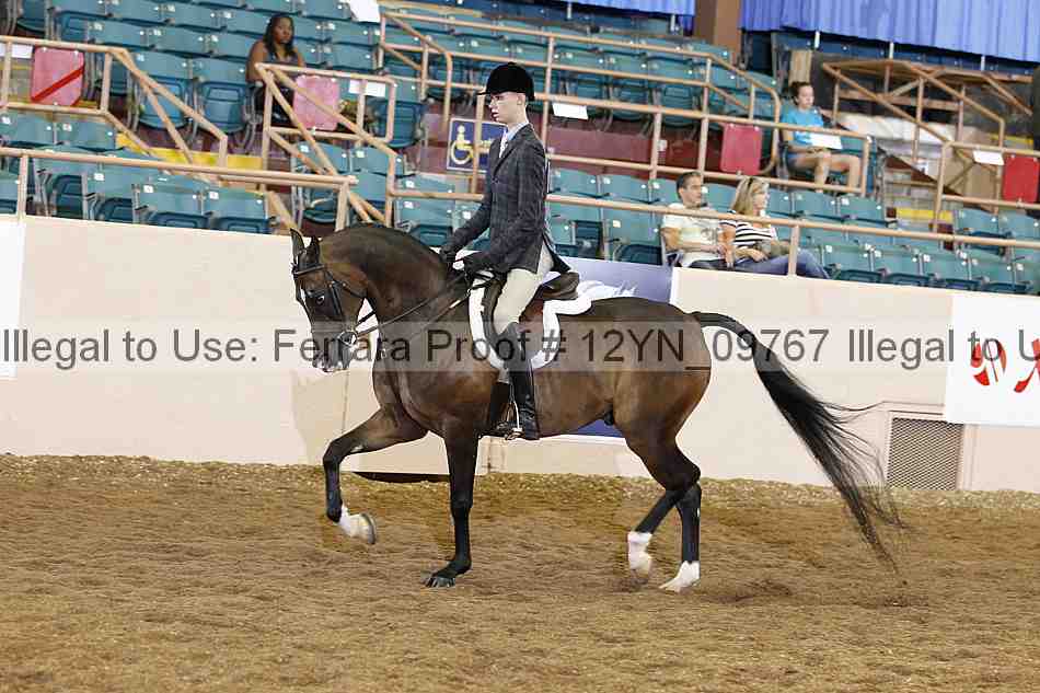 Proof 12yn_09767