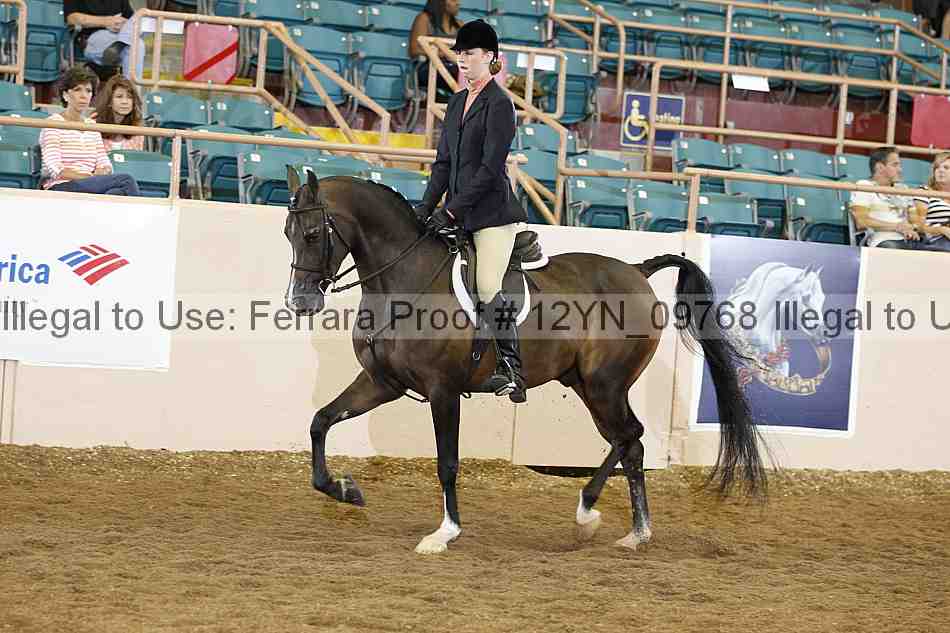 Proof 12yn_09768