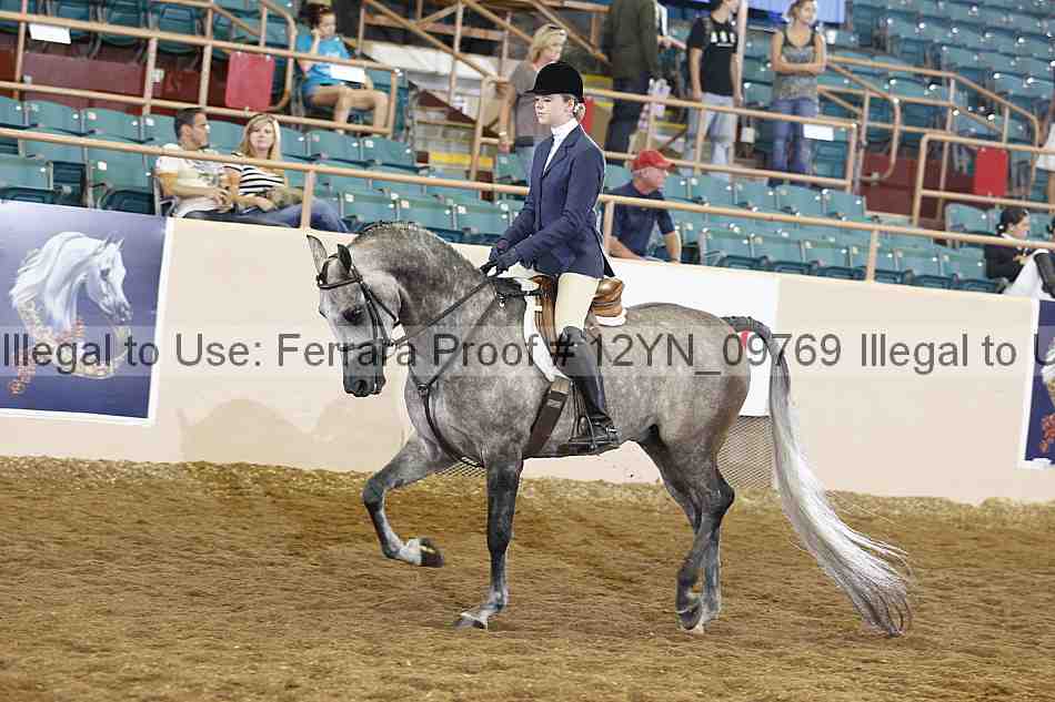 Proof 12yn_09769