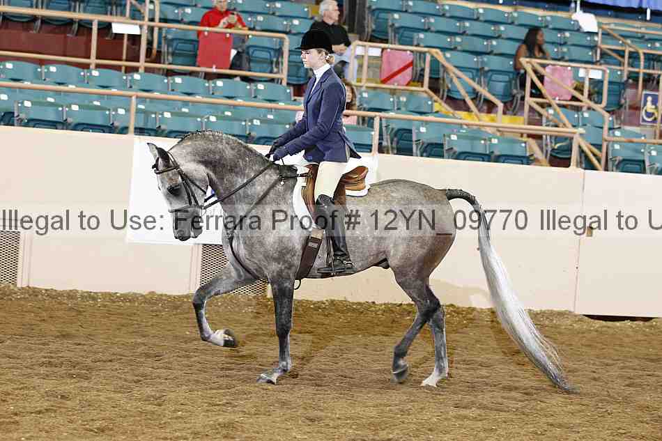 Proof 12yn_09770