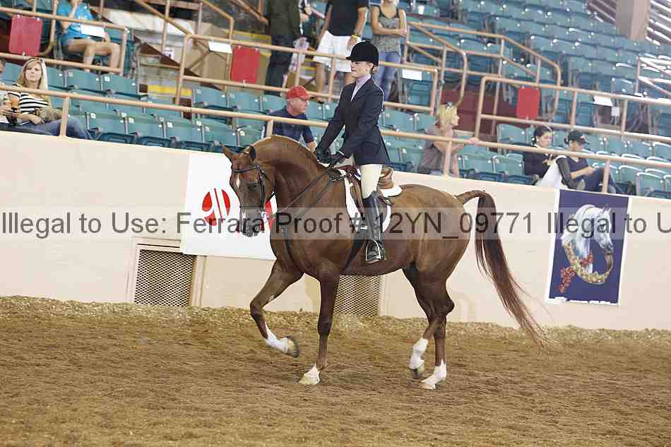 Proof 12yn_09771