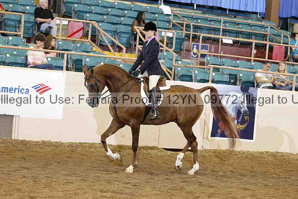 Proof 12yn_09772