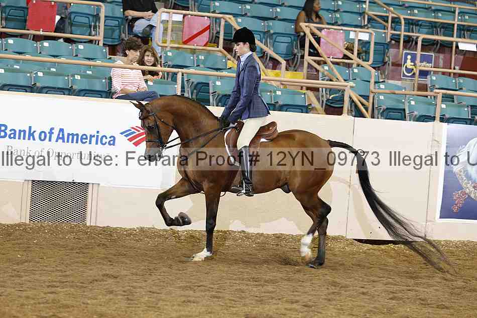 Proof 12yn_09773