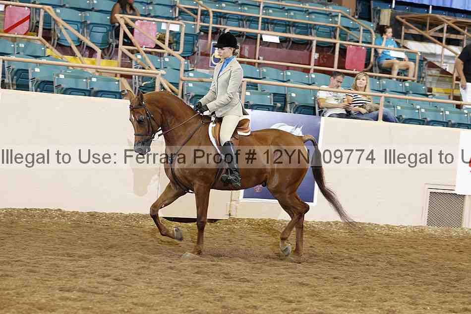 Proof 12yn_09774